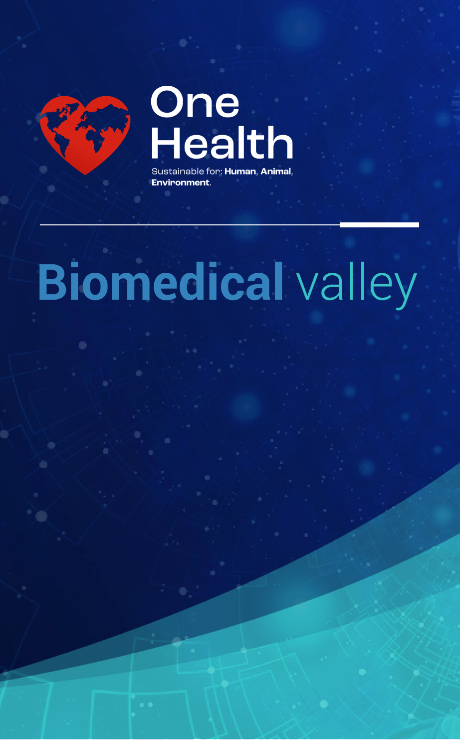 Biomedical Valley